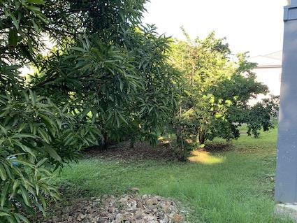 Image No.33-3 Bed House for sale