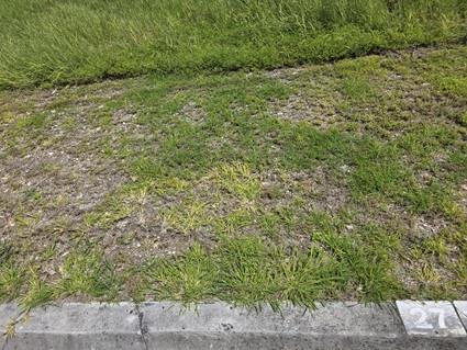 Image No.5-Land for sale