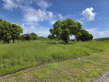 Image No.2-Land for sale