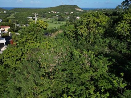 Image No.9-Land for sale