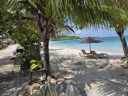 Image No.4-Terre à vendre à Antigua-et-Barbuda