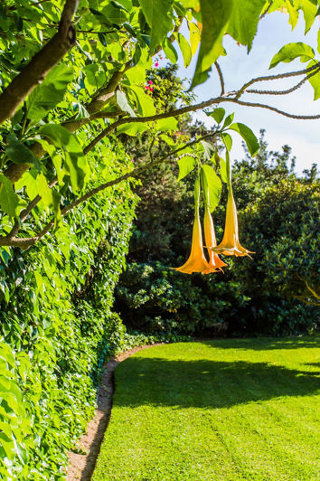 Image No.49-1 Bed Apartment for sale