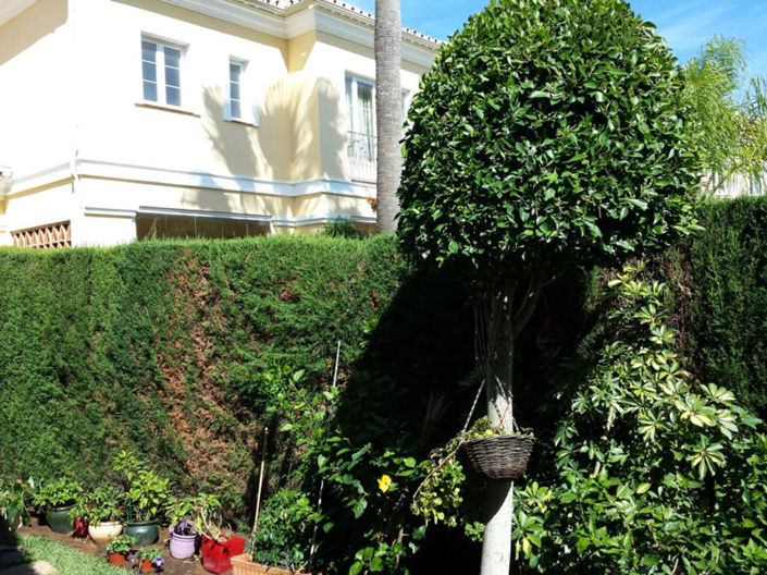 Image No.18-3 Bed Townhouse for sale