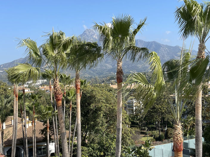 Image No.2-Penthouse de 2 chambres à vendre à Nueva Andalucia