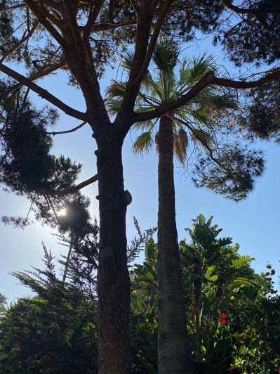 Image No.18-Villa de 4 chambres à vendre à Estepona