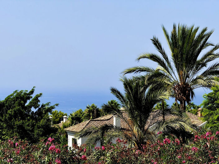 Image No.6-6 Bed Villa for sale