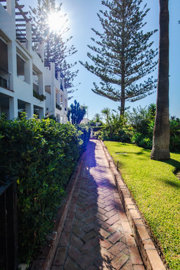 8-e64a9055bba3e77ac8aca3b893cdf826