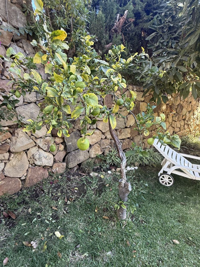 Image No.16-4 Bed Villa for sale