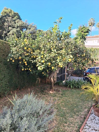 Image No.38-Villa de 4 chambres à vendre à Calahonda