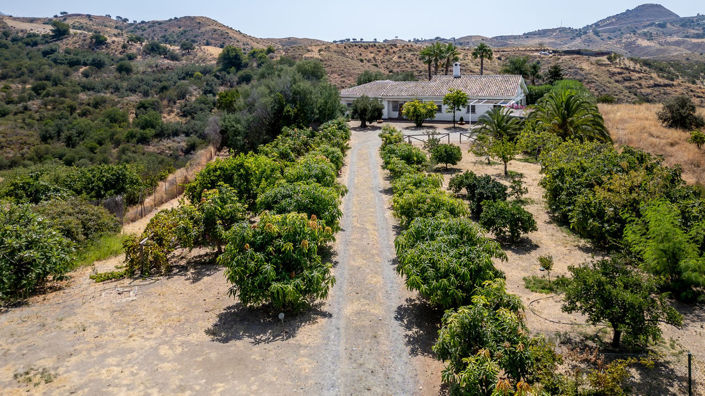 Image No.34-3 Bed Apartment for sale