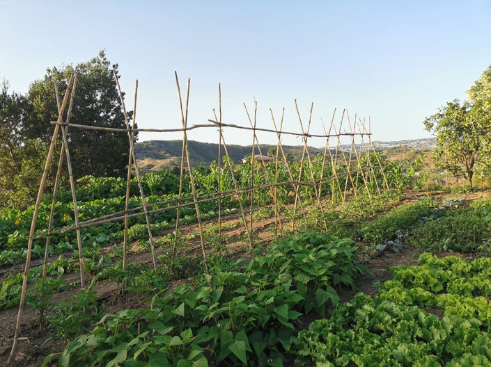 Image No.40-3 Bed Apartment for sale