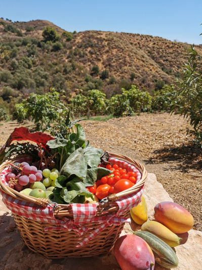 Image No.41-3 Bed Apartment for sale