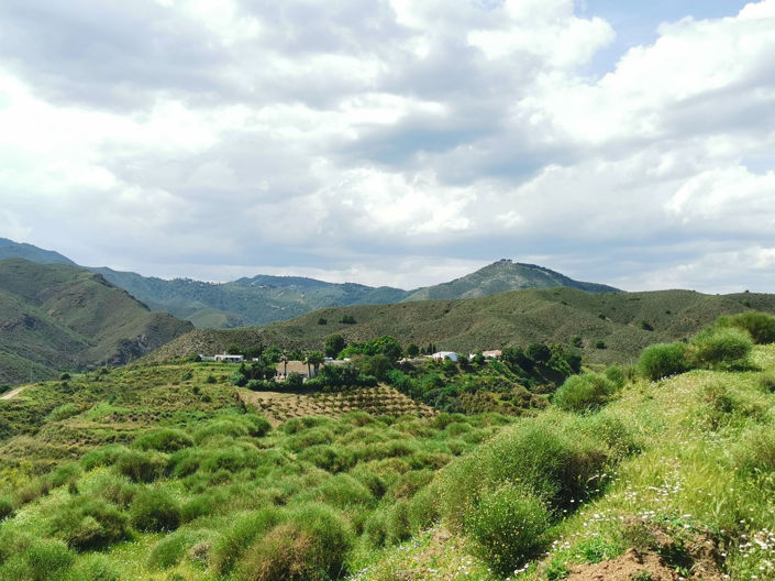 Image No.42-3 Bed Apartment for sale