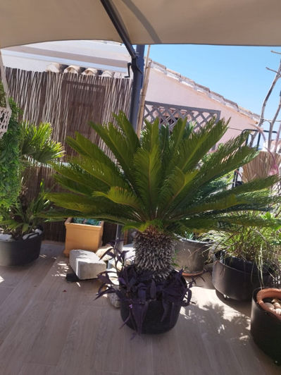 Image No.31-Maison de ville de 3 chambres à vendre à Estepona