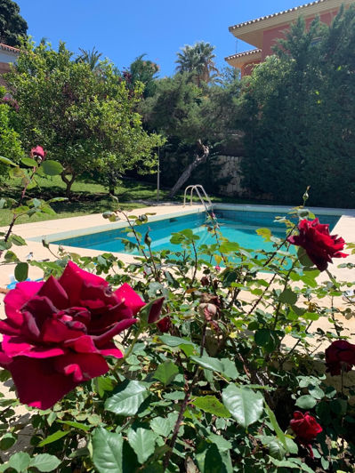 Image No.11-Villa de 3 chambres à vendre à Marbesa