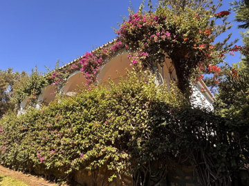 9-467d0cee5b725f3ef65f102a0c2e69c0