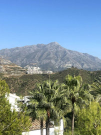 8-e64a9055bba3e77ac8aca3b893cdf826