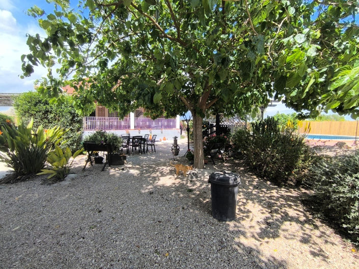 Image No.25-3 Bed Finca for sale