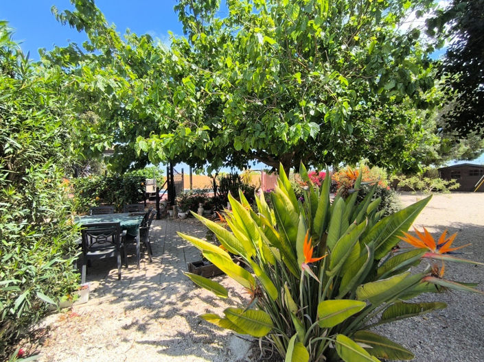 Image No.27-3 Bed Finca for sale