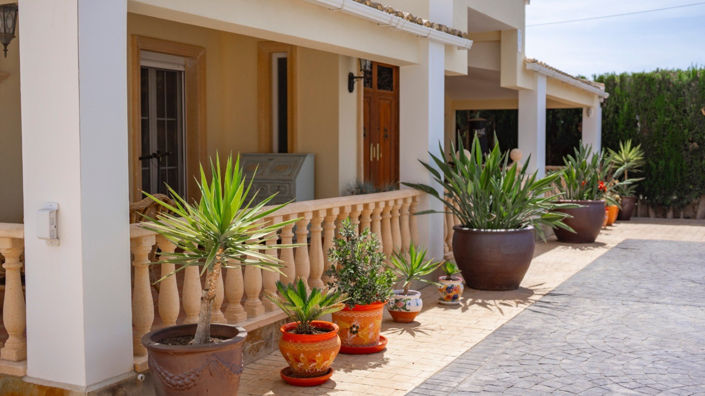 Image No.1-Finca de 6 chambres à vendre à Alicante