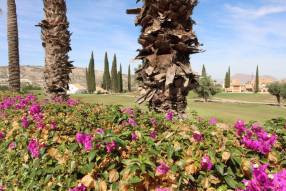 Image No.13-3 Bed Villa for sale