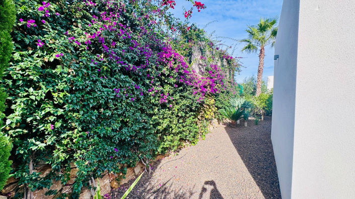 Image No.34-2 Bed Villa for sale