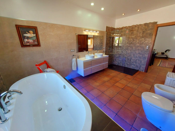 Image No.19-4 Bed Finca for sale