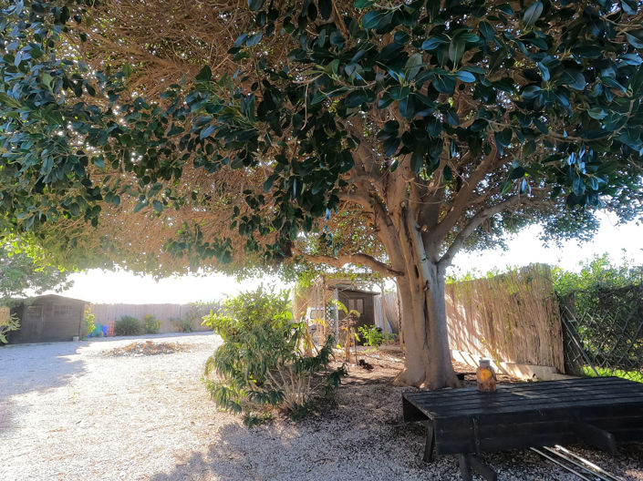 Image No.23-3 Bed Country House for sale