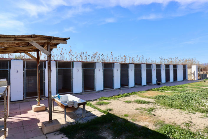 Image No.48-5 Bed Country House for sale