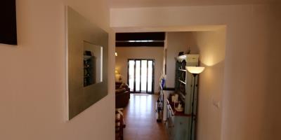 IMG_3892-1170x586