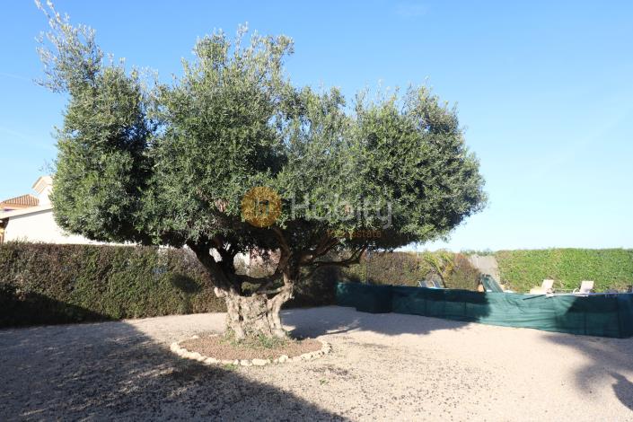 Image No.29-3 Bed Villa for sale