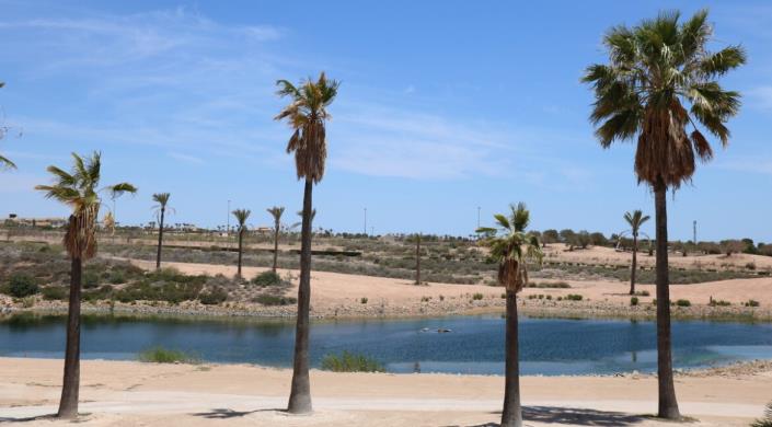 Image No.43-Villa / Détaché de 4 chambres à vendre à Hacienda del Alamo