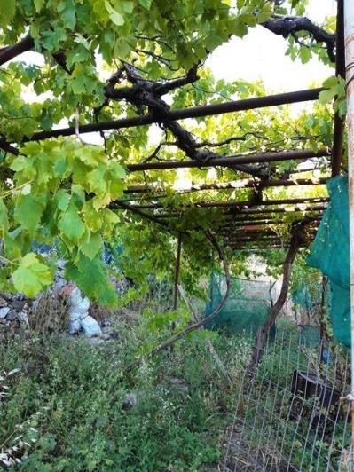 Image No.4-Maison de 2 chambres à vendre à Gytheio