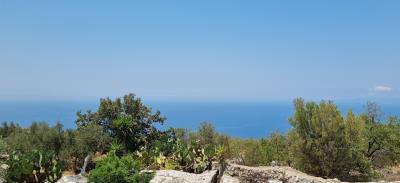 agnik4