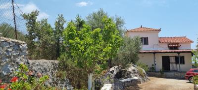 agnik13