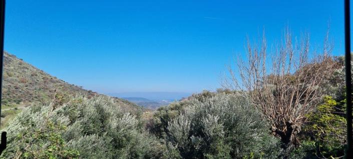 Image No.11-Maison de 1 chambre à vendre à Gytheio