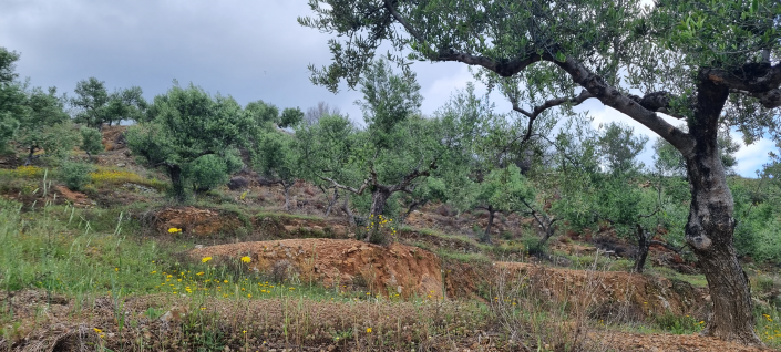 Image No.14-Maison de 2 chambres à vendre à Gytheio