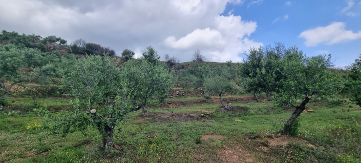 Image No.15-Maison de 2 chambres à vendre à Gytheio