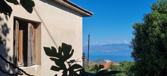 Image No.9-4 Bed House for sale