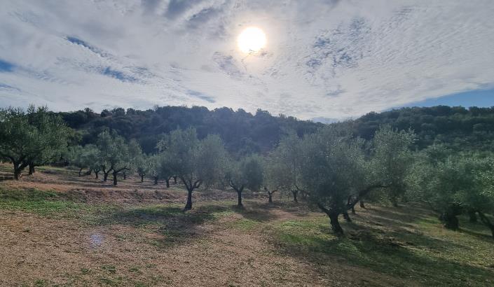 Image No.18-2 Bed House for sale