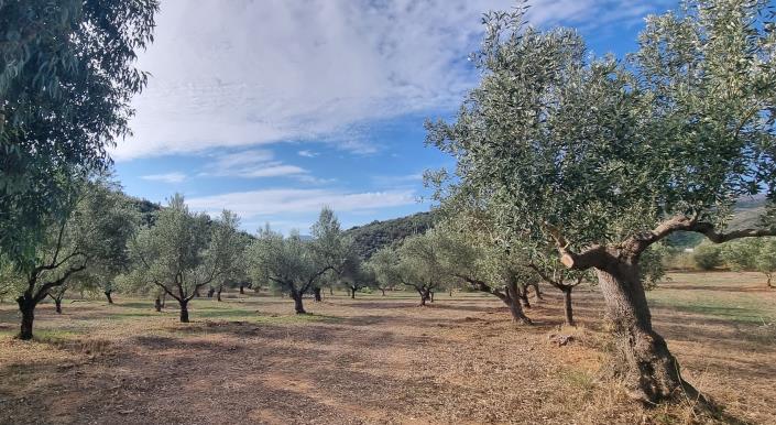 Image No.17-2 Bed House for sale