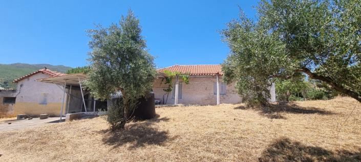 Image No.3-2 Bed House for sale