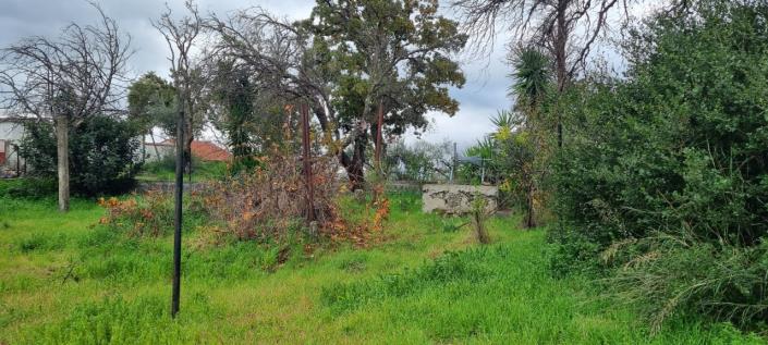 Image No.16-Maison de 2 chambres à vendre à Gytheio