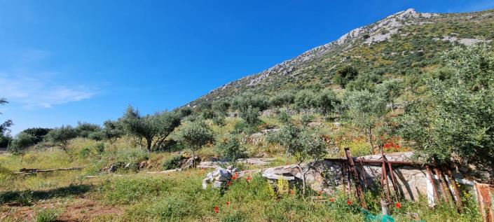 Image No.11-Maison de 3 chambres à vendre à East Mani