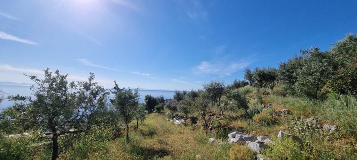 Image No.13-Maison de 3 chambres à vendre à East Mani