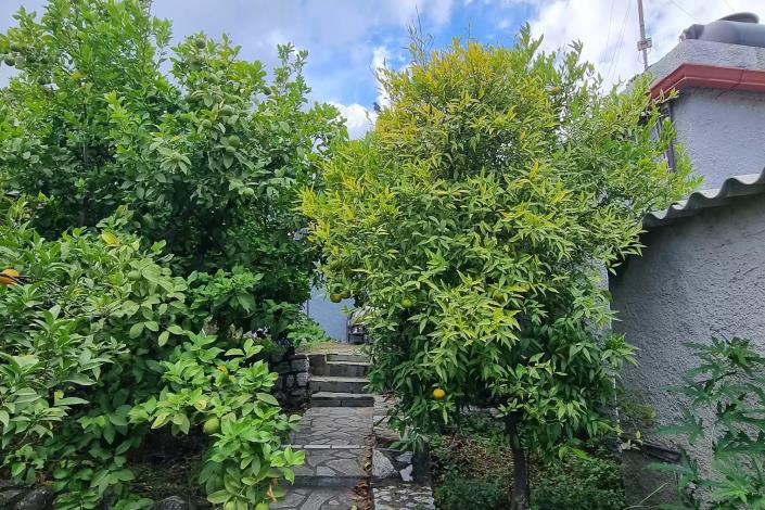 Image No.4-Maison de 1 chambre à vendre à Gytheio