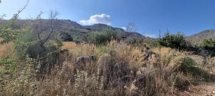 Image No.11-Ferme de 1 chambre à vendre à Gytheio