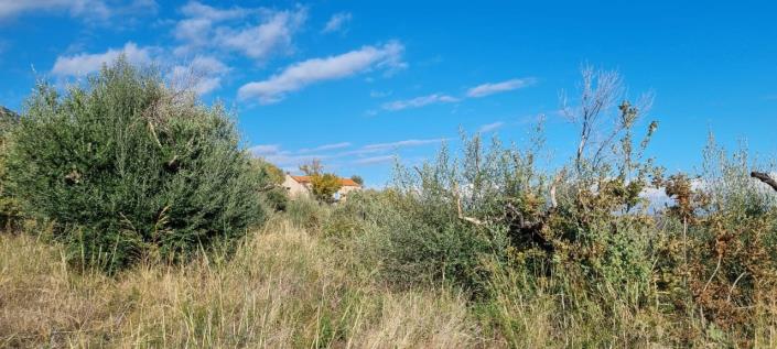 Image No.12-Ferme de 1 chambre à vendre à Gytheio
