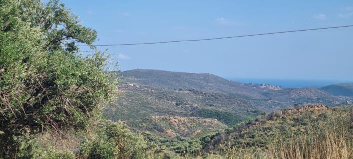 Image No.1-Land for sale