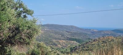 1 - Laconia, Land